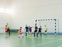 IMG_9860